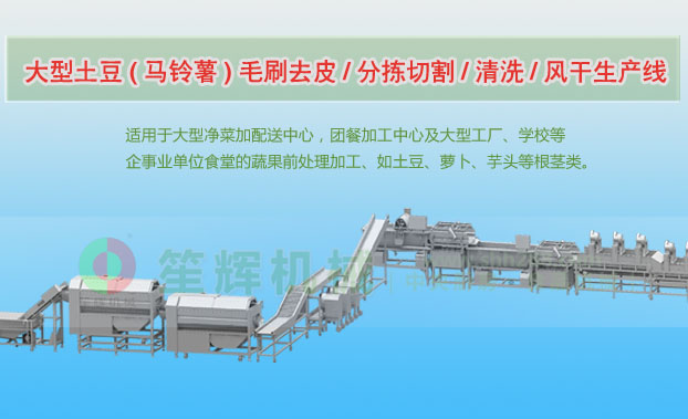 江陵连续式土豆去皮清洗切割风干生产线